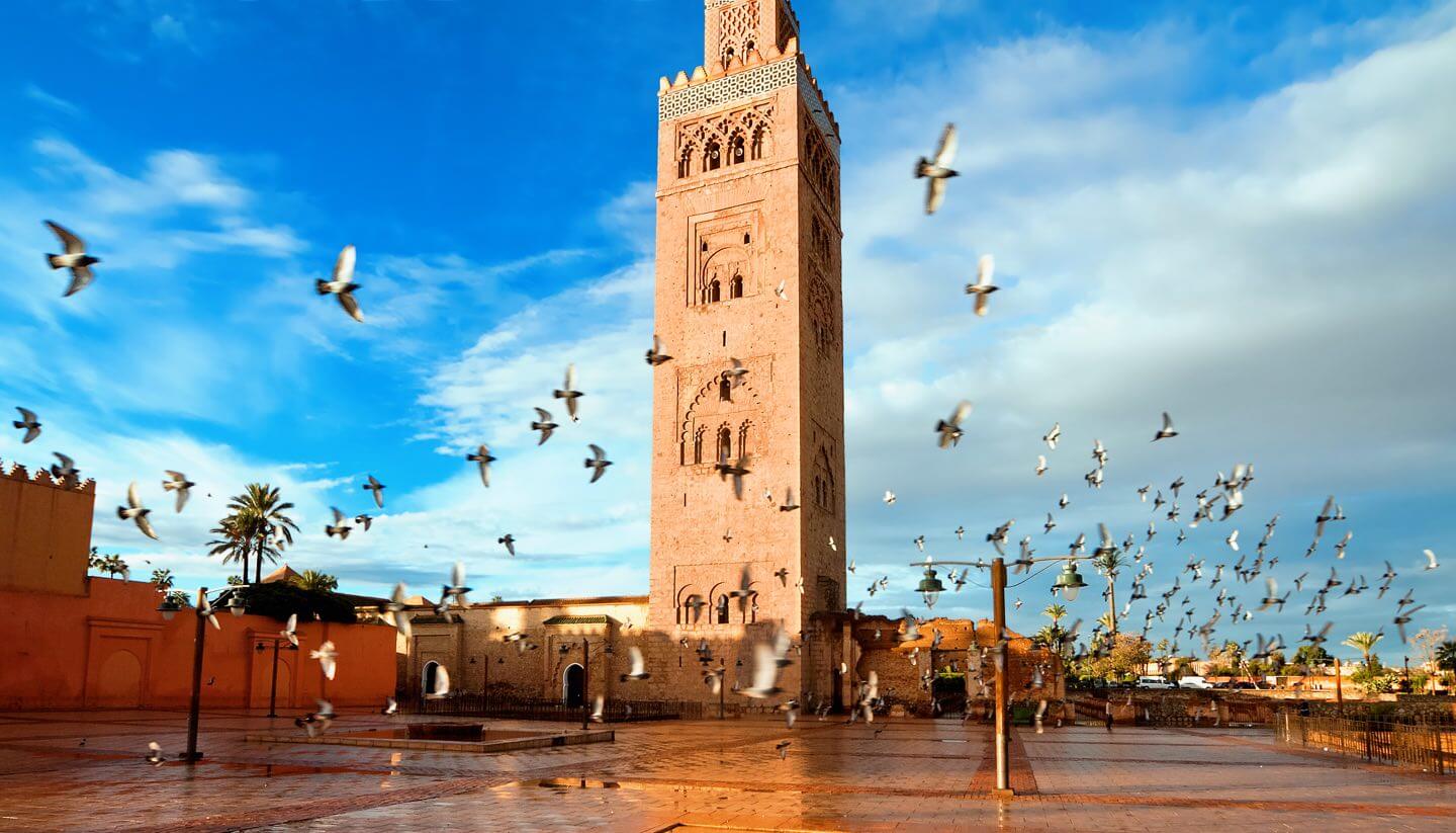 Marrakech City Guided Private Tour